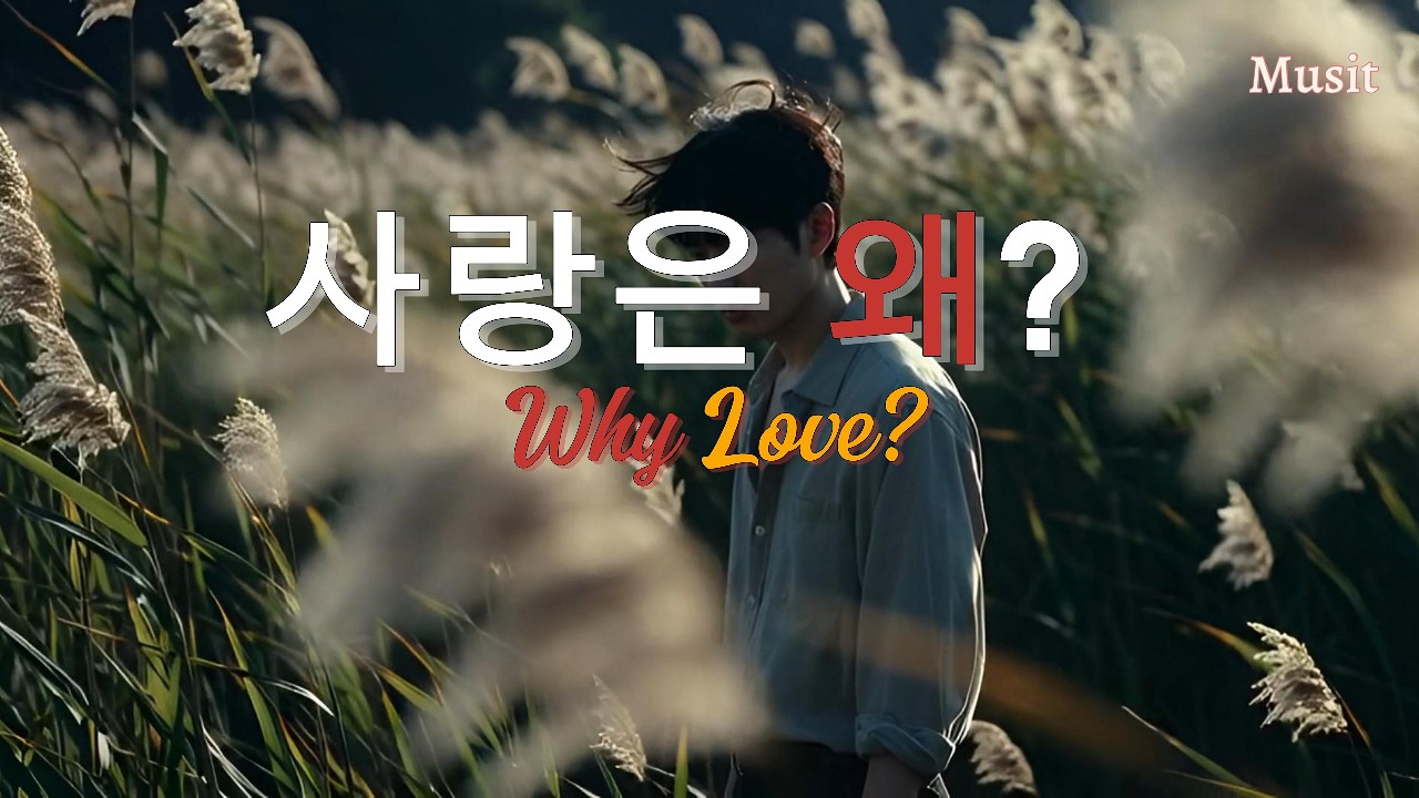 Why Love (사랑은 왜?)｜K-POP｜감성음악