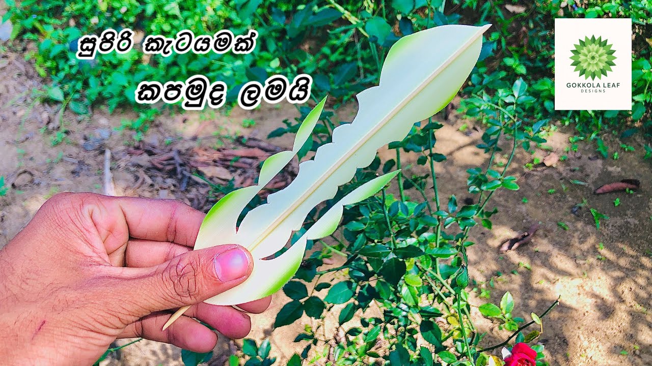  අලංකාර ගොක්කොල කැටයමක් ඔයලාත් බලලා පුරුදු වෙන්න 👍👌#coconut #coconutleaves #handwork #gokkolaketayam