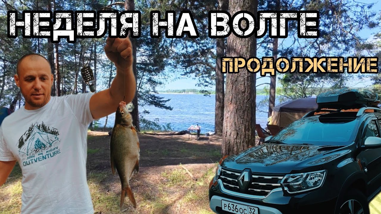ОТДЫХАЕМ НЕДЕЛЮ НА БЕРГУ ВОЛГИ (продолжение)🏕️ ЛОВИМ МНОГО РЫБЫ🎣 СПАСАЕМСЯ ОТ ДОЖДЯ☔️КЕМПИНГ🏕️