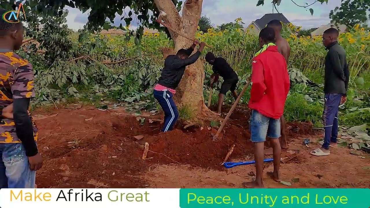 AMAZING: African Youth collaborations has no Limit for Developments