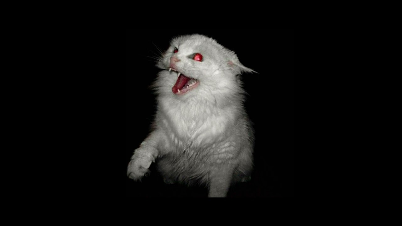 evilmane - milkage (slowed & reverb)