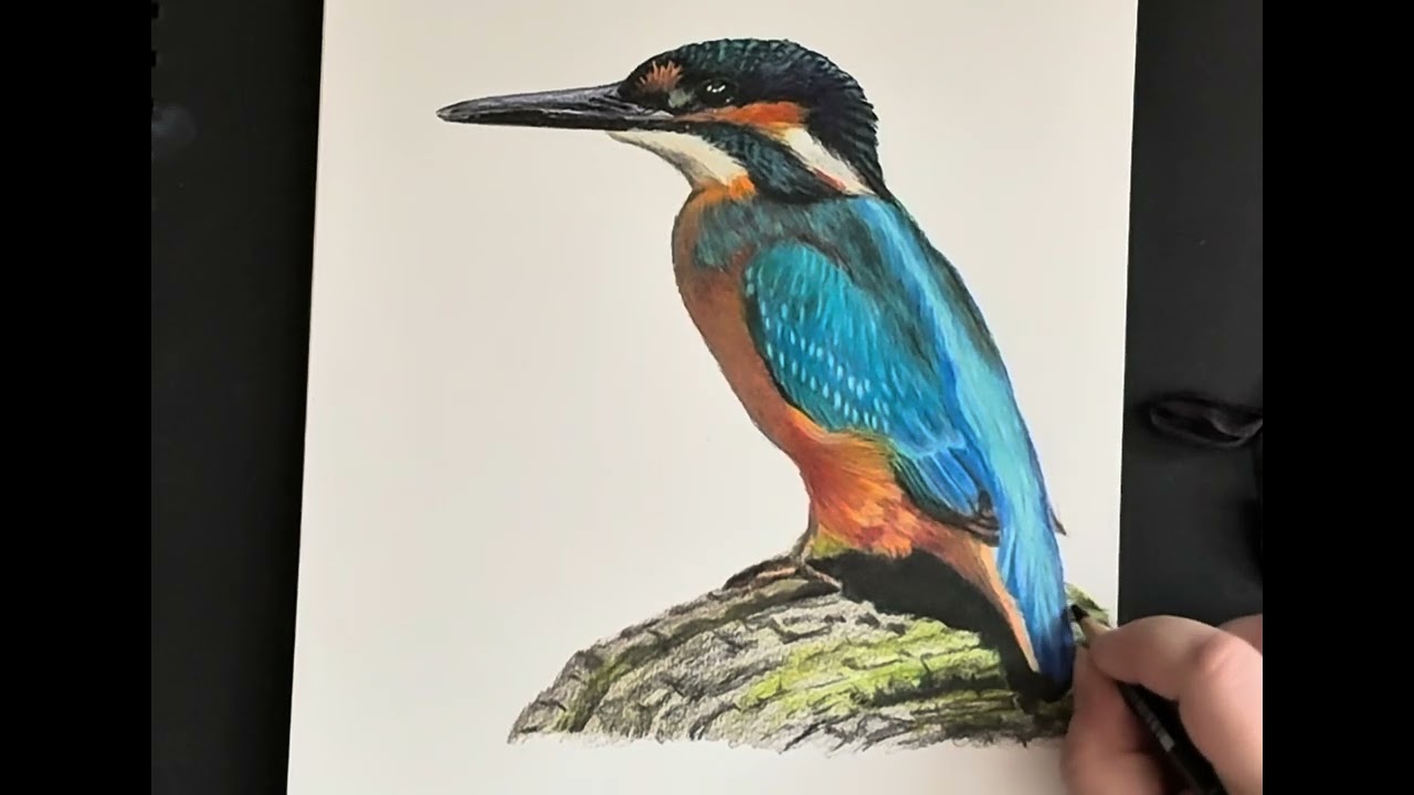 Calm Coloured Pencil Drawing | Quiet Art Session