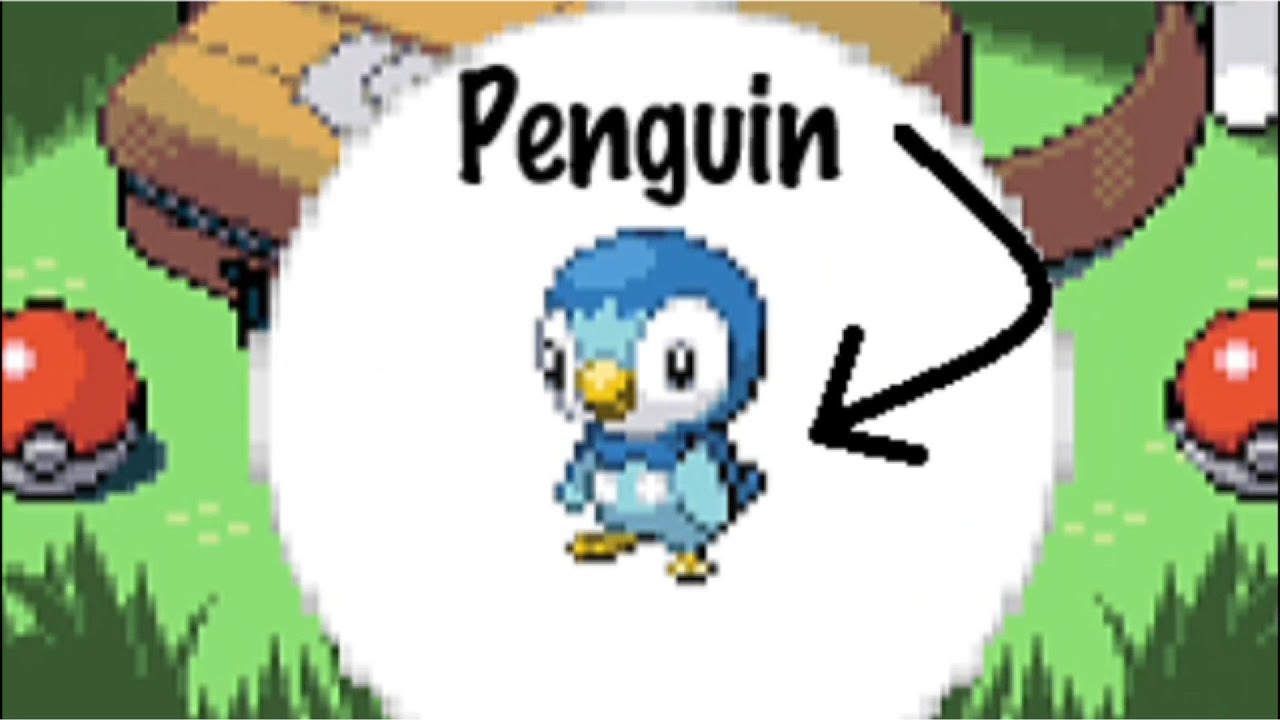 The piplup attempt | Run and Bun 5