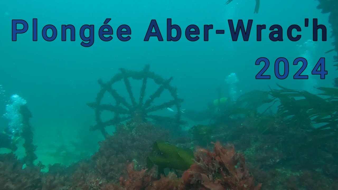 Plongée Finistére Aber-Wrac'h
