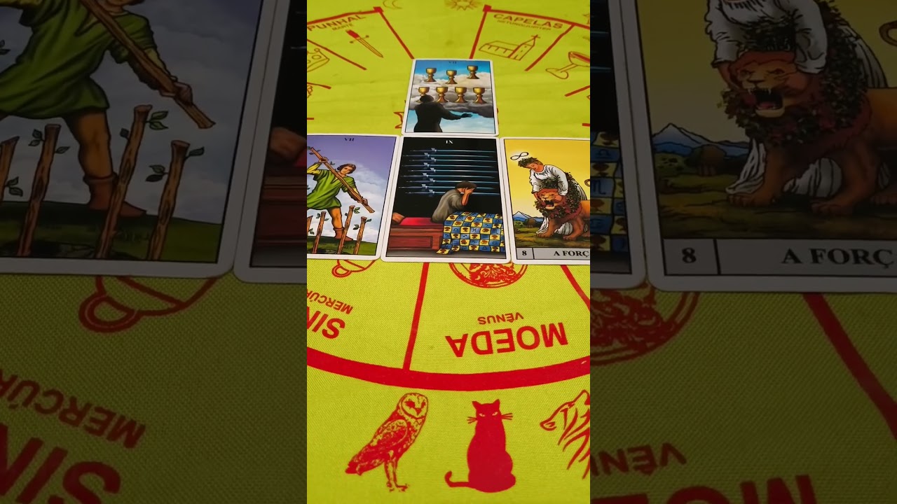 Tarot Virgem: Momento de acordar #tarotvirgem #signodevirgem
