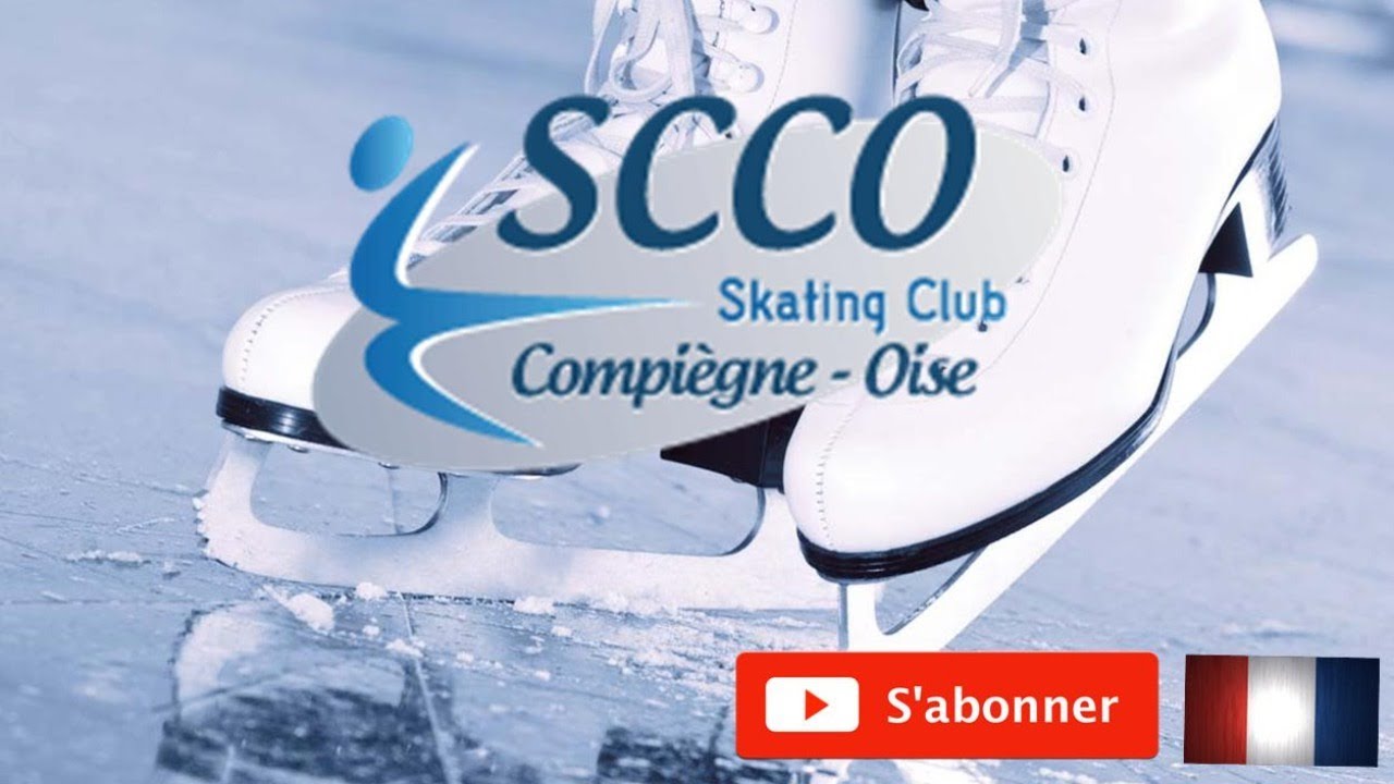 Coupe François 1er - Romorantin - 18-01-2020 - patinage synchronisée