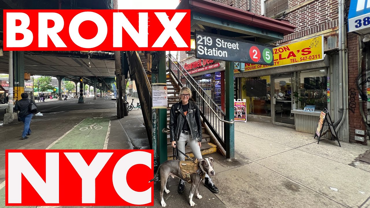 New York City LIVE Bronx Walking Under 2 Subway Train