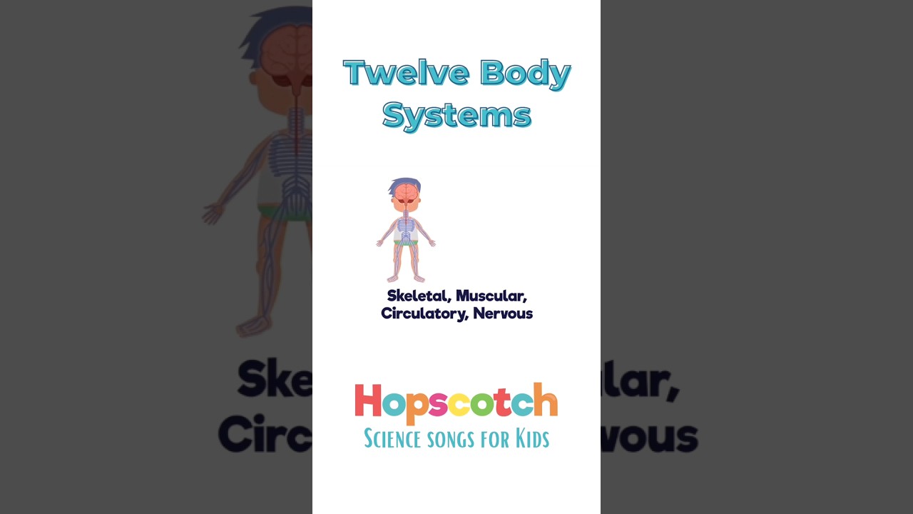 Twelve Body Systems- Science Songs for Kids #hopscotchsongs #learnwithme #anatomy #kidssong #learn