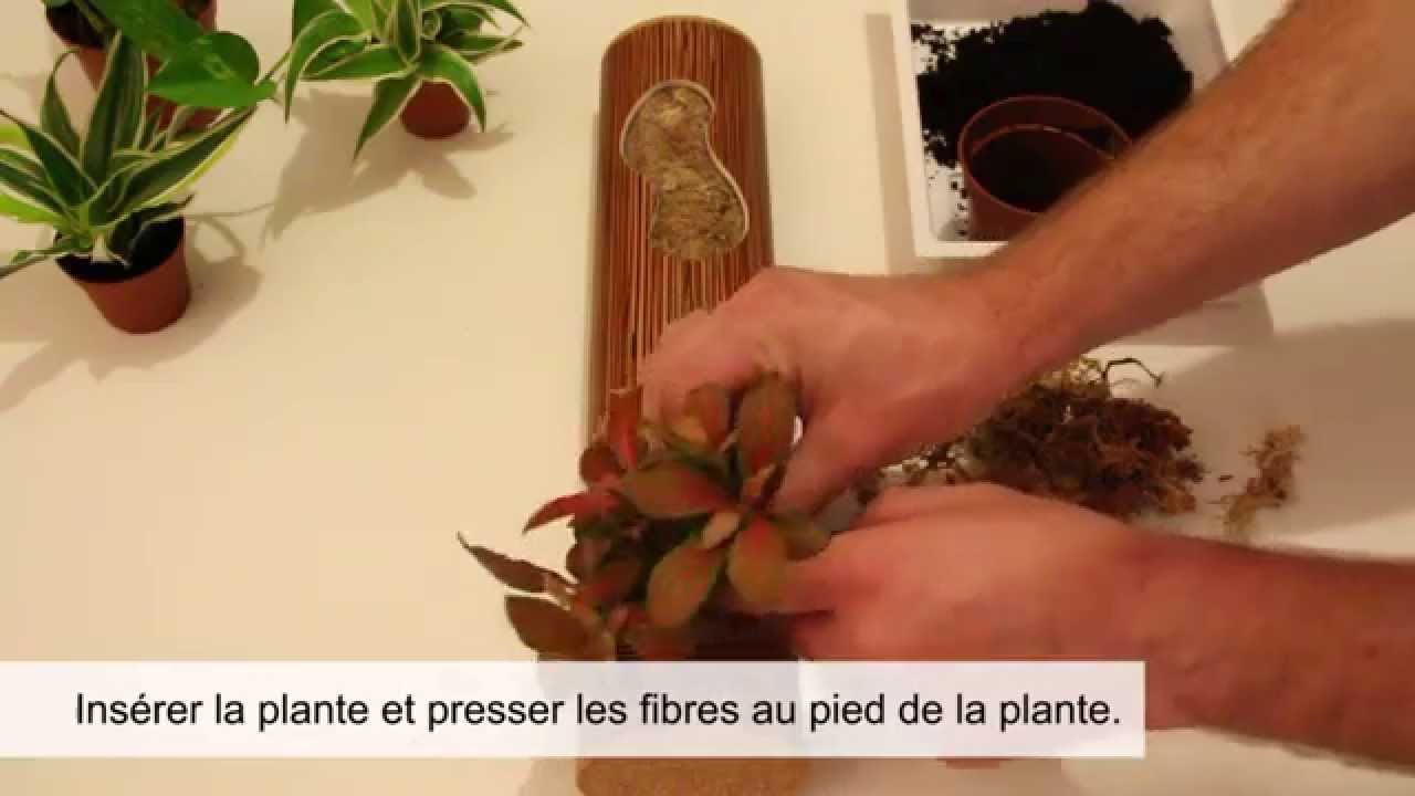Concept Tube v&eacute;g&eacute;tal / Colonne v&eacute;g&eacute;tale Gardenbox
