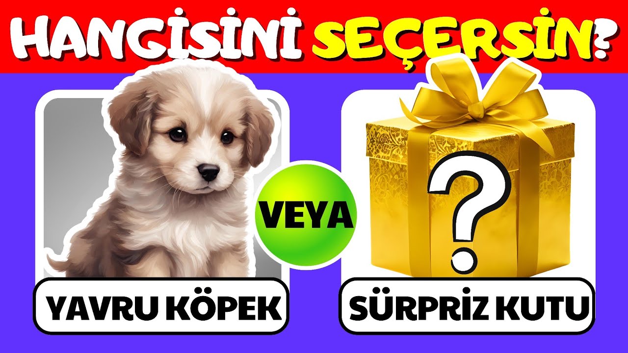 Hangisini Tercih Edersin?🎁🤪Sürpriz Hediye Kutusu Özel| Heyecanın Adı: Sürpriz Kutusu Challenge!