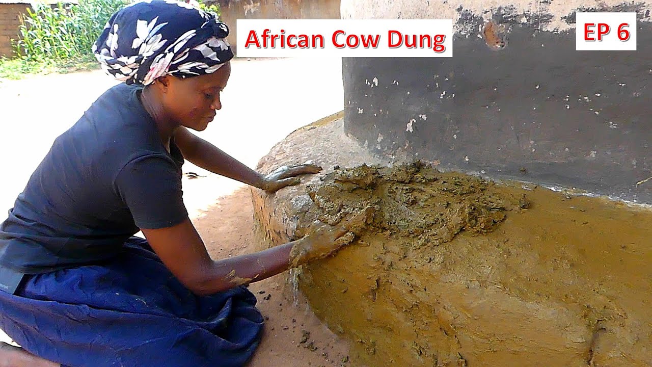 African Hut Smearing With Cow Dung AC&N Episode 6
