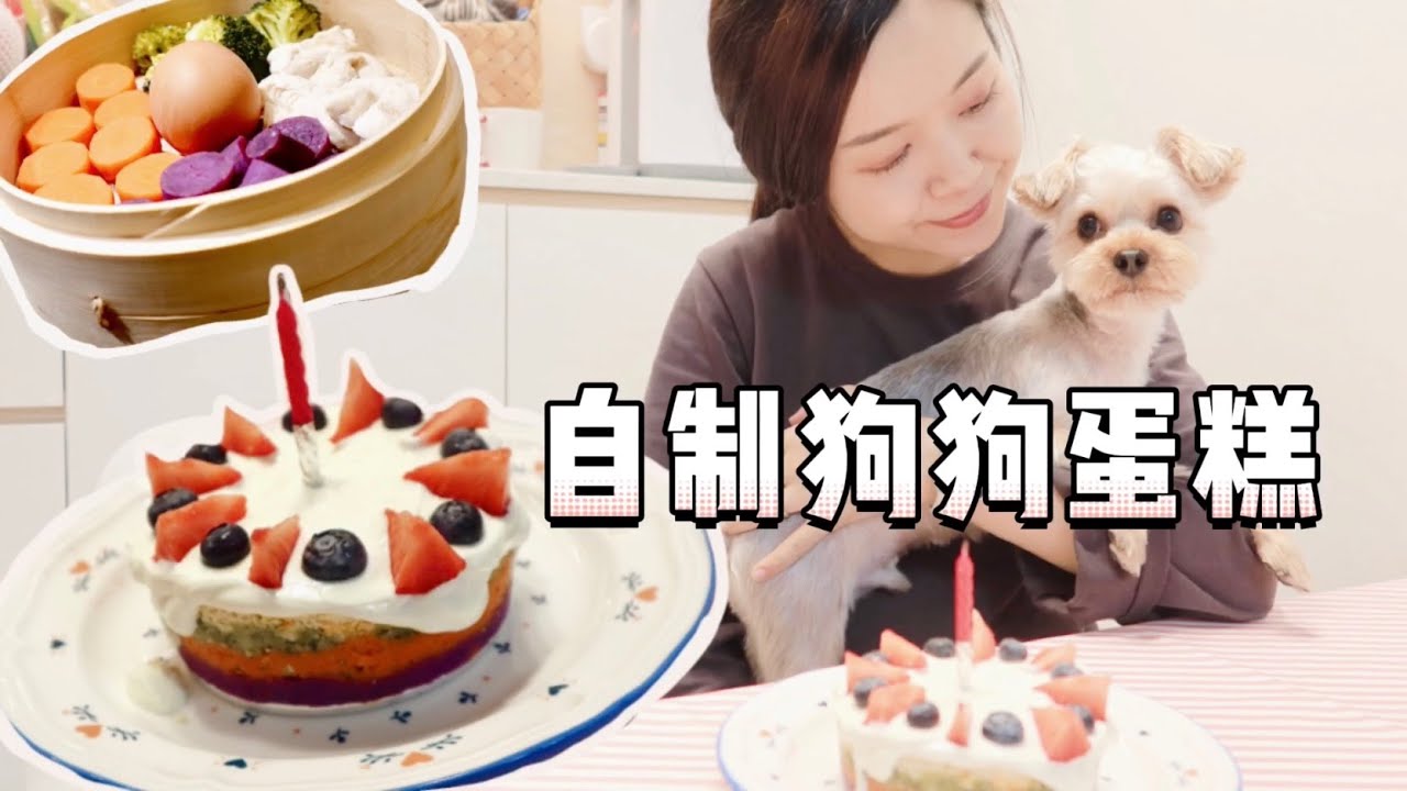 我家宝贝两岁啦 | 超简单的狗狗生日蛋糕🍰 | 孜然鸡胸肉炒饭 🍛