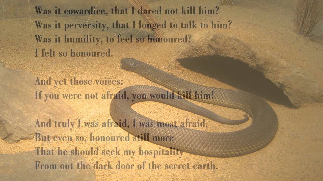 Snake by D H Lawrence (read by Tom O'Bedlam)