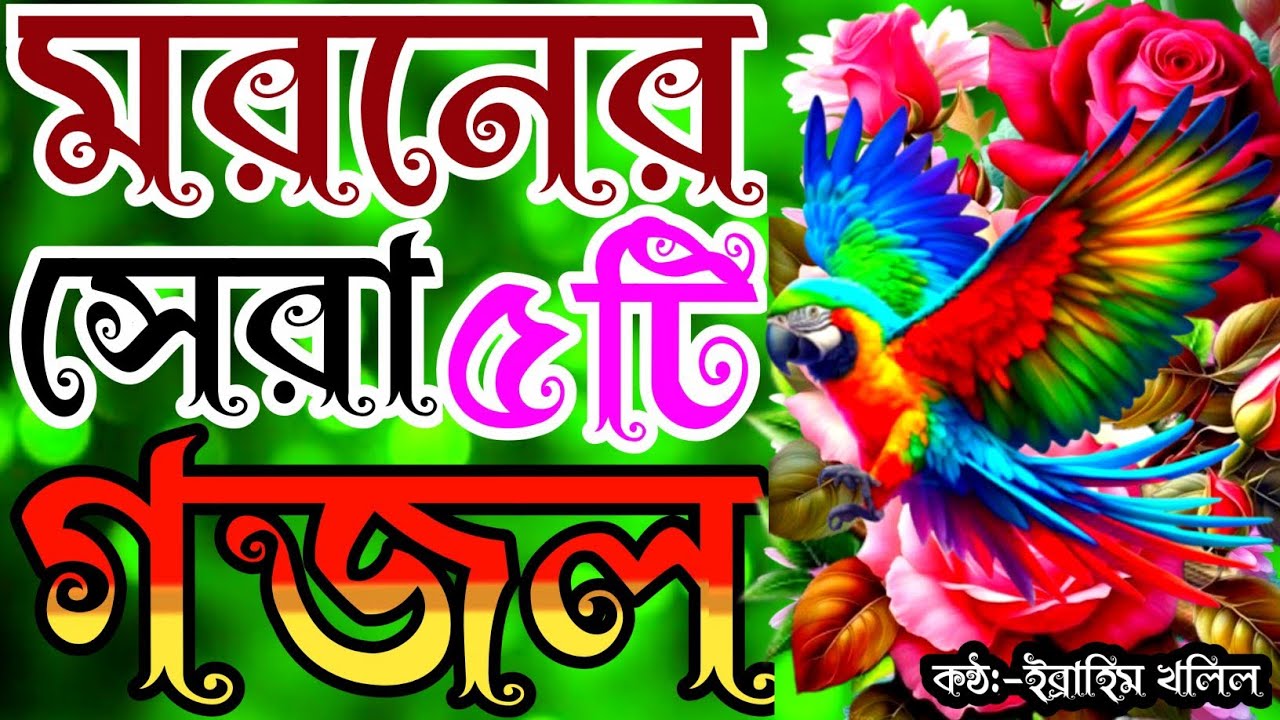 মরমি কন্ঠে খুব দুঃখের সেরা ৫টি গজল | gojol | বাংলা গজল | new gojol | new islamic song | bangla gojol