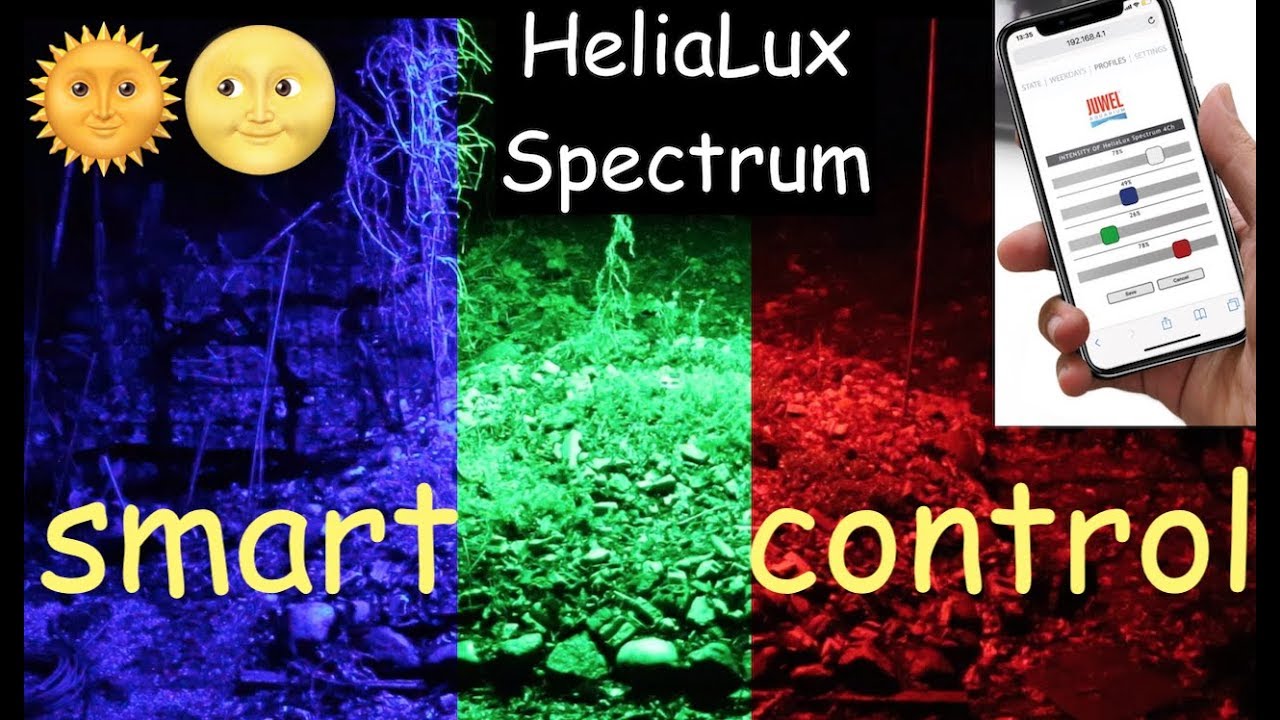 JUWEL HeliaLux Spectrum Smart Control | Unboxing Test & Setup 🐠 🦐#Juwel