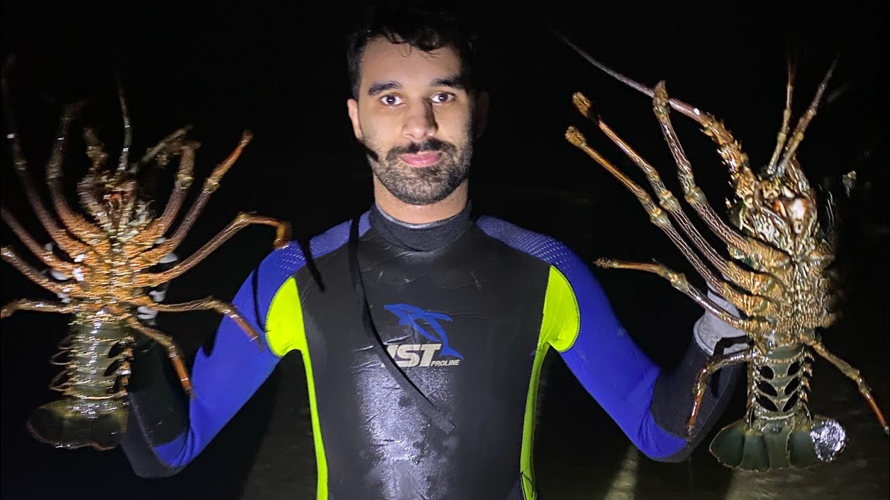تحدي صيد الاستكوزا | صيد ليلي🐟🦞