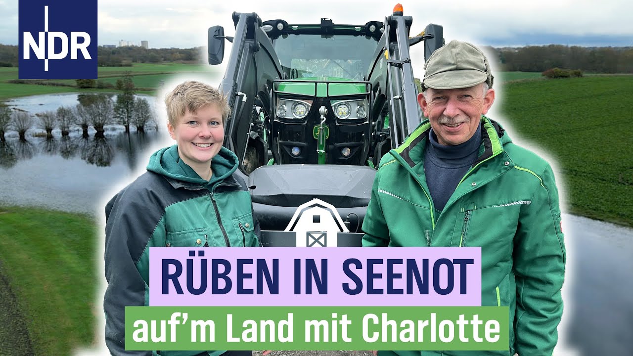 Klappt das mit der Rüben-Ernte bei Charlotte Schlichting? | Folge 14 | NDR auf'm Land