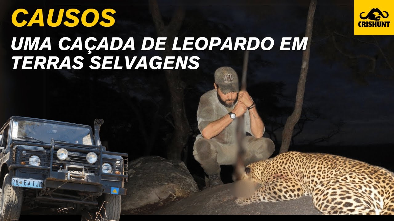 Meu primeiro leopardo