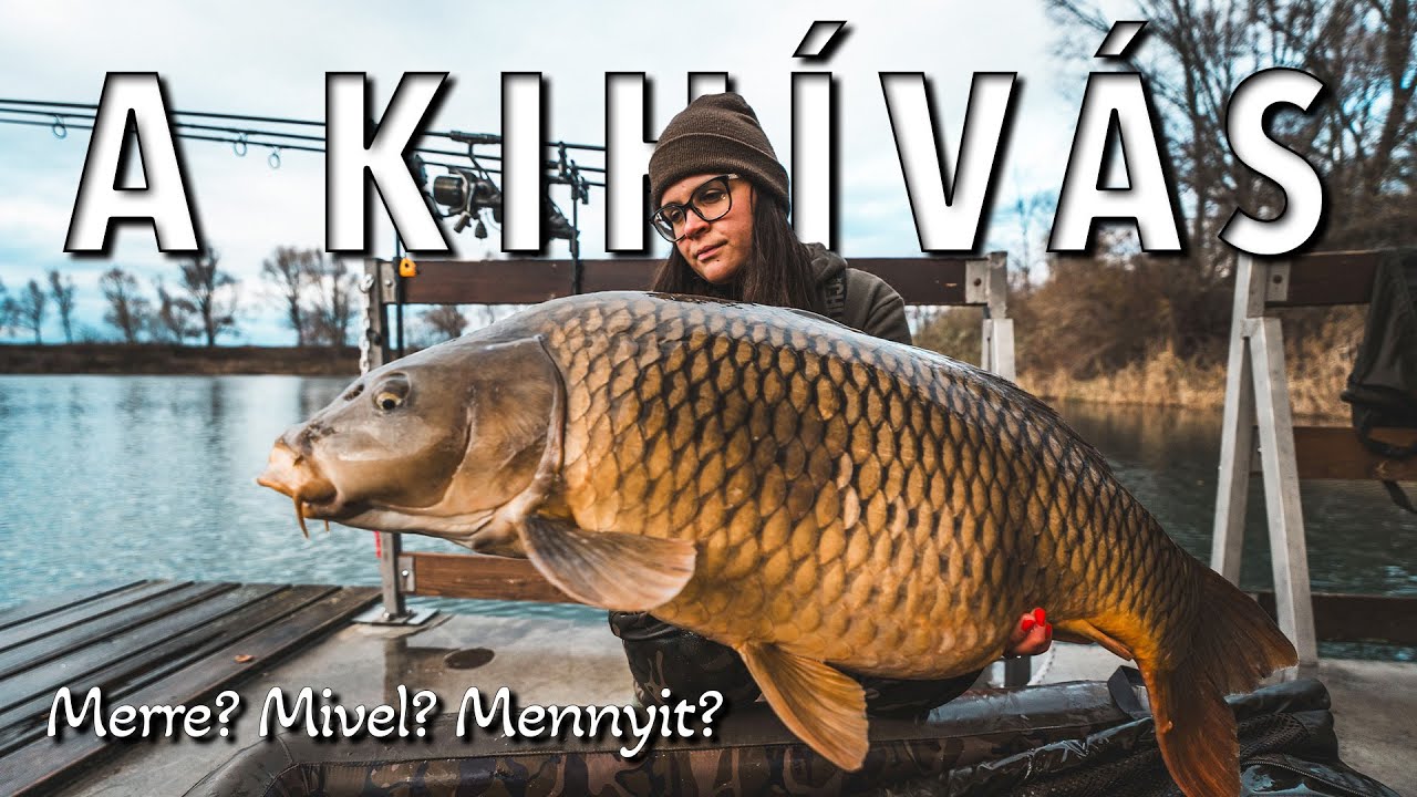 A KIHÍVÁS - 4. rész - Merre? Mivel? Mennyit?