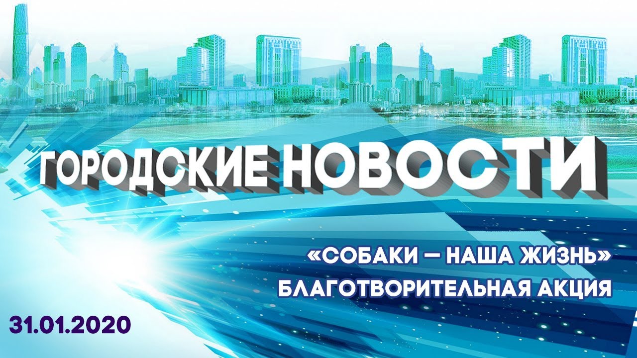Объединение любителей животных &laquo;Собаки &ndash; наша жизнь&raquo;