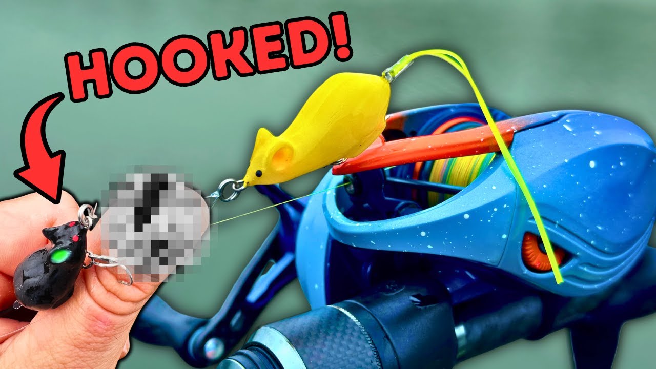 THIS Ultralight Topwater Lure Is INSANE! (I Got HOOKED!)