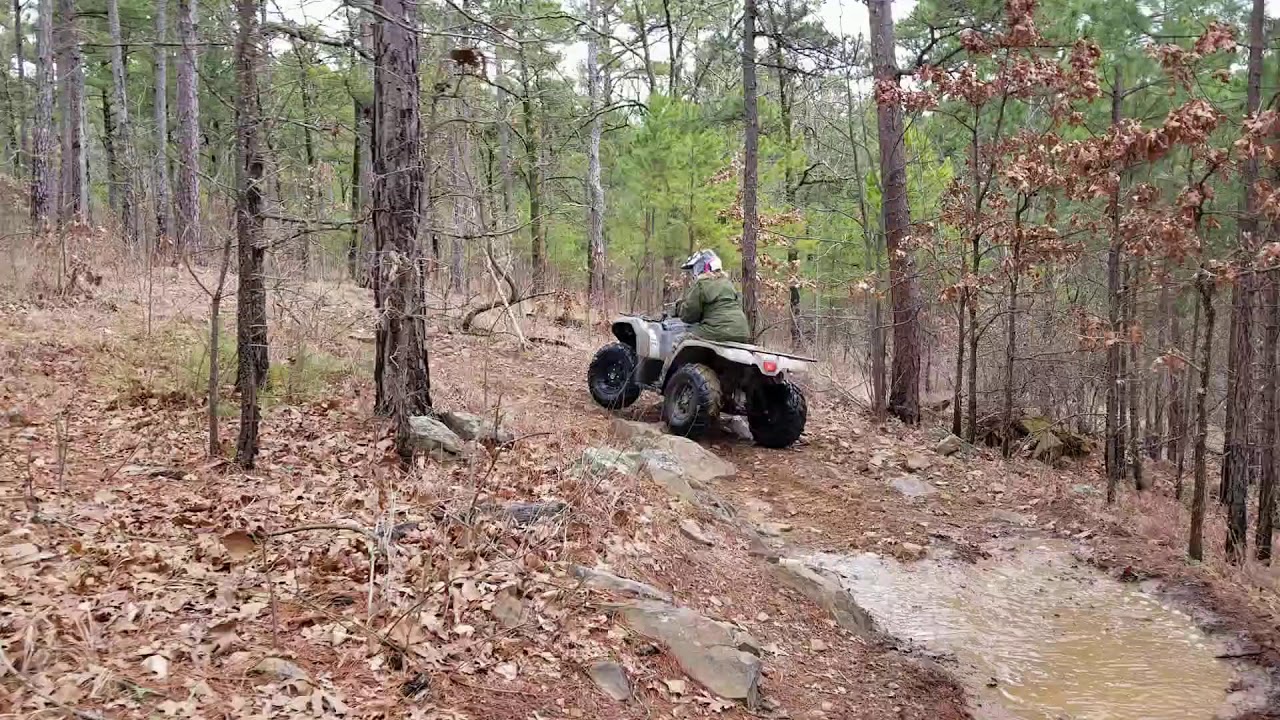 Video of Talimena State Park, OK from Mark C.