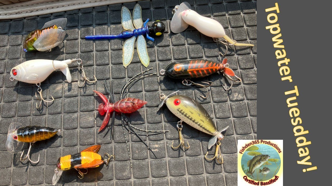 These Little-Known Topwater Baits Catch Bass!
