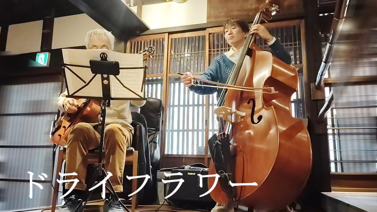 ドライフラワー 優里 カバー ジャズ  Jazz Guitar Bass Duo ギター ベース デュオ