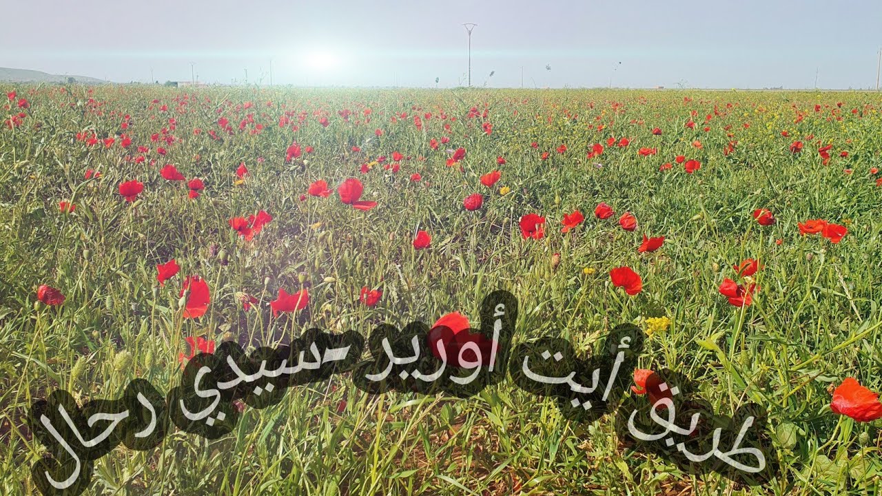 طريق سيدي رحال ضواحي مراكش