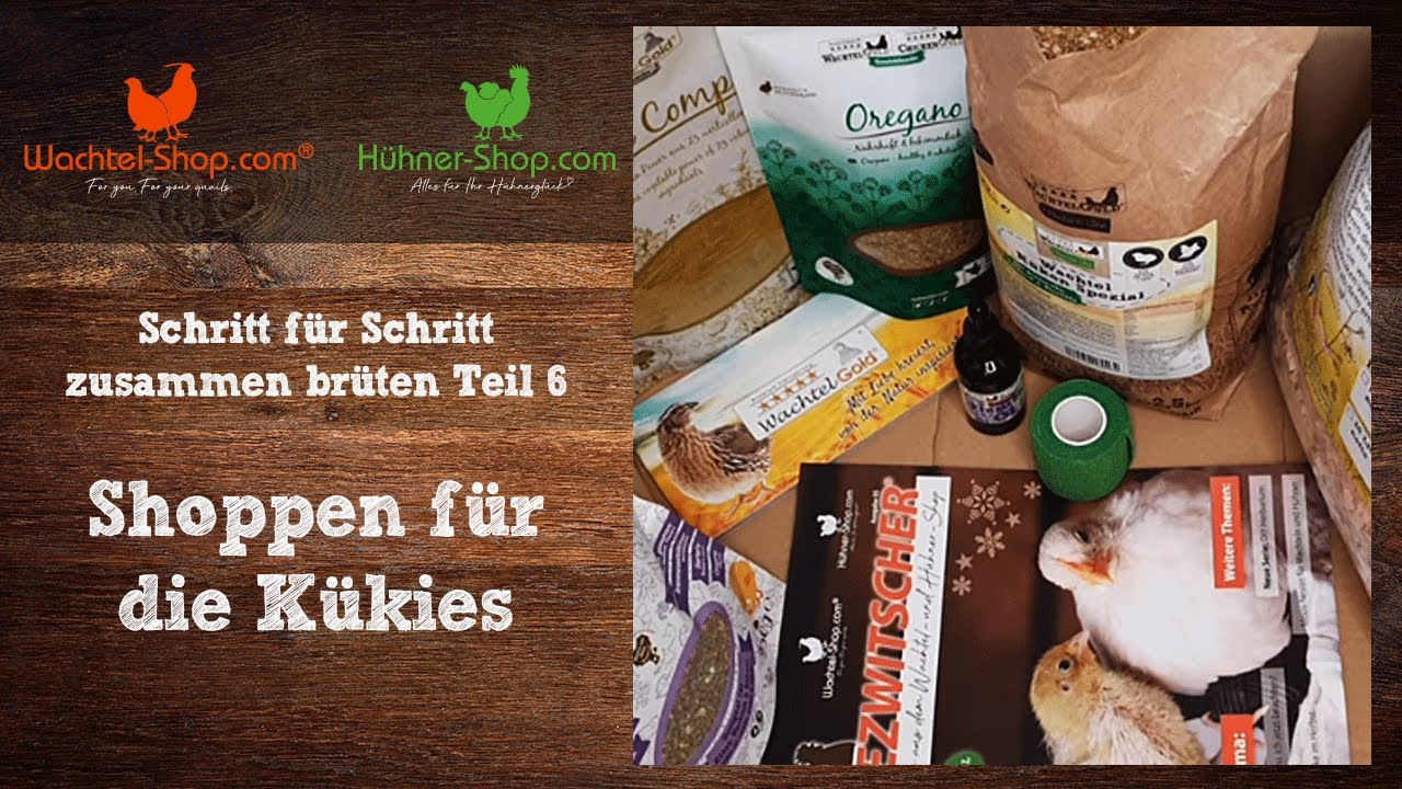Shoppen für die Kükies - Schritt für Schritt zusammen brüten Teil 6