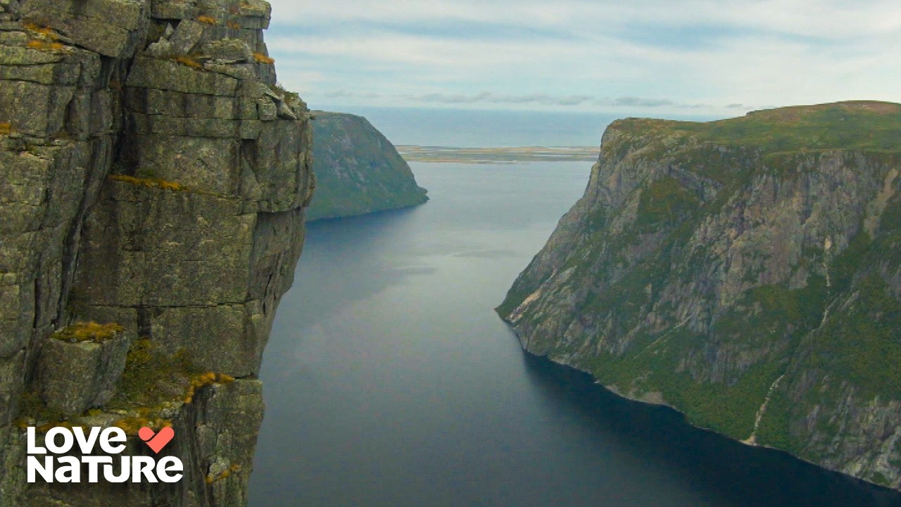 Epic Aerial Adventure: Gros Morne&rsquo;s Wild Terrain | Undiscovered Vistas 101
