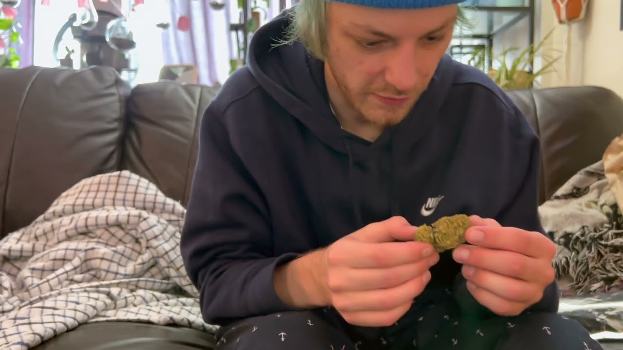The RE-UP Episode 17: *STRAIN REVIEW* 'Orange Runtz'