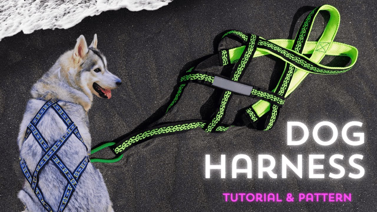 HOW TO MAKE A DOG HARNESS | TUTORIAL | Bikejoring & Sledding | HARNESSES FOR ACTIVE LIFESTYLES