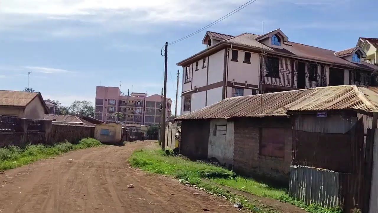 MIGOSI ESTATE КИСУМУ, КЕНИЯ, АФРИКА