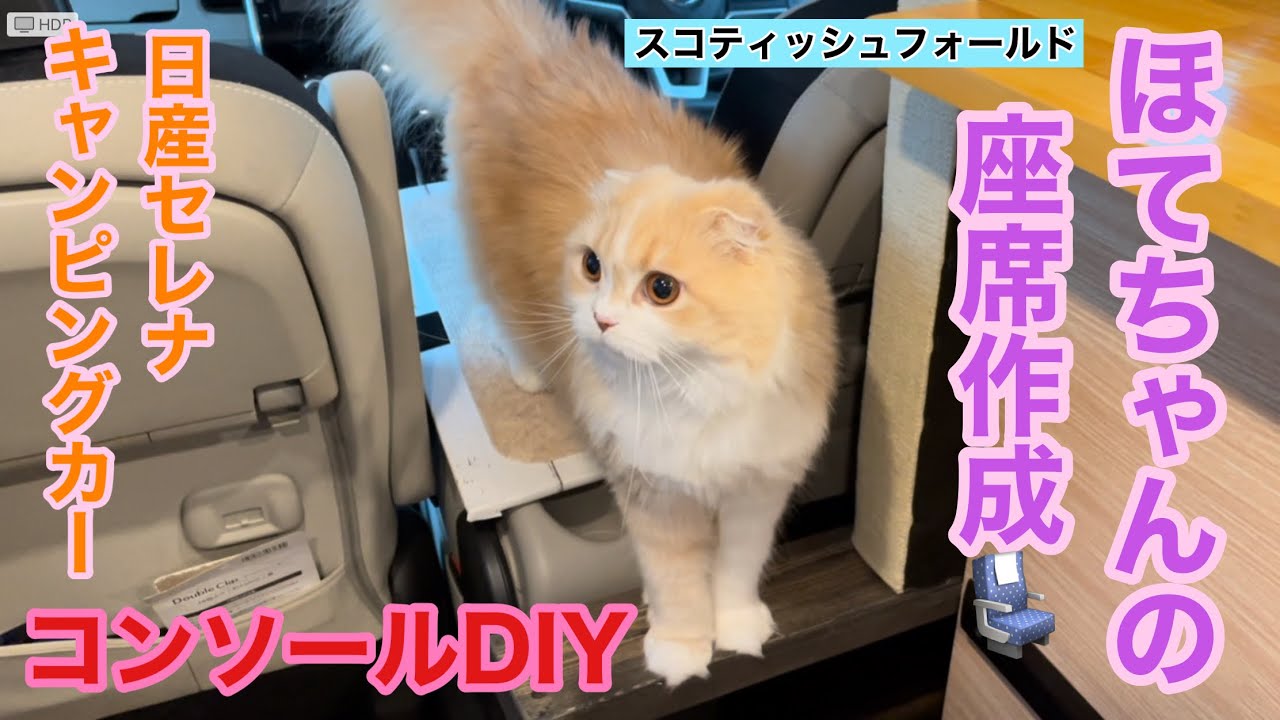 【キャンピングカー】日産セレナキャンピングカーコンソールDIY🐈ほてちゃんの座席に💺スコティッシュフォールド