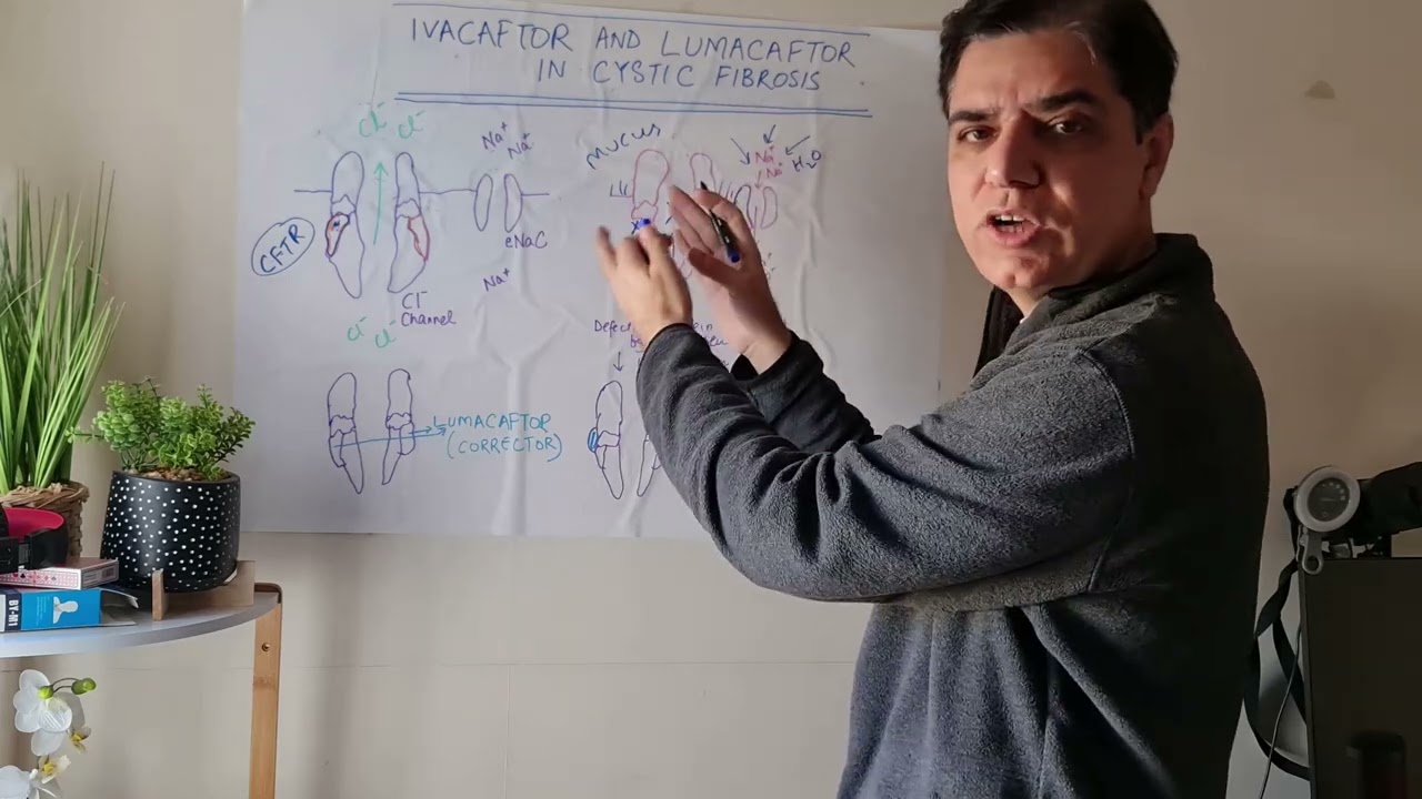 Mechanism of Action of Ivacaftor and Lumacaftor in Cystic Fibrosis