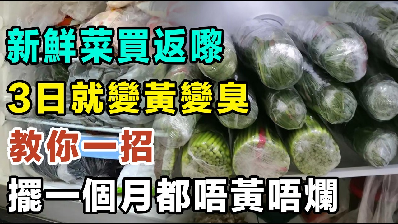 新鮮菜買返嚟，3日就變黃變臭？教你一招，擺一個月都唔黃唔爛！ #蔬菜保鮮 #雪櫃收納 #廚房妙招 #生活小智慧 #慳錢攻略 #食材處理 #葉菜保存 #芫荽保存 #煮婦必睇 #家居常識