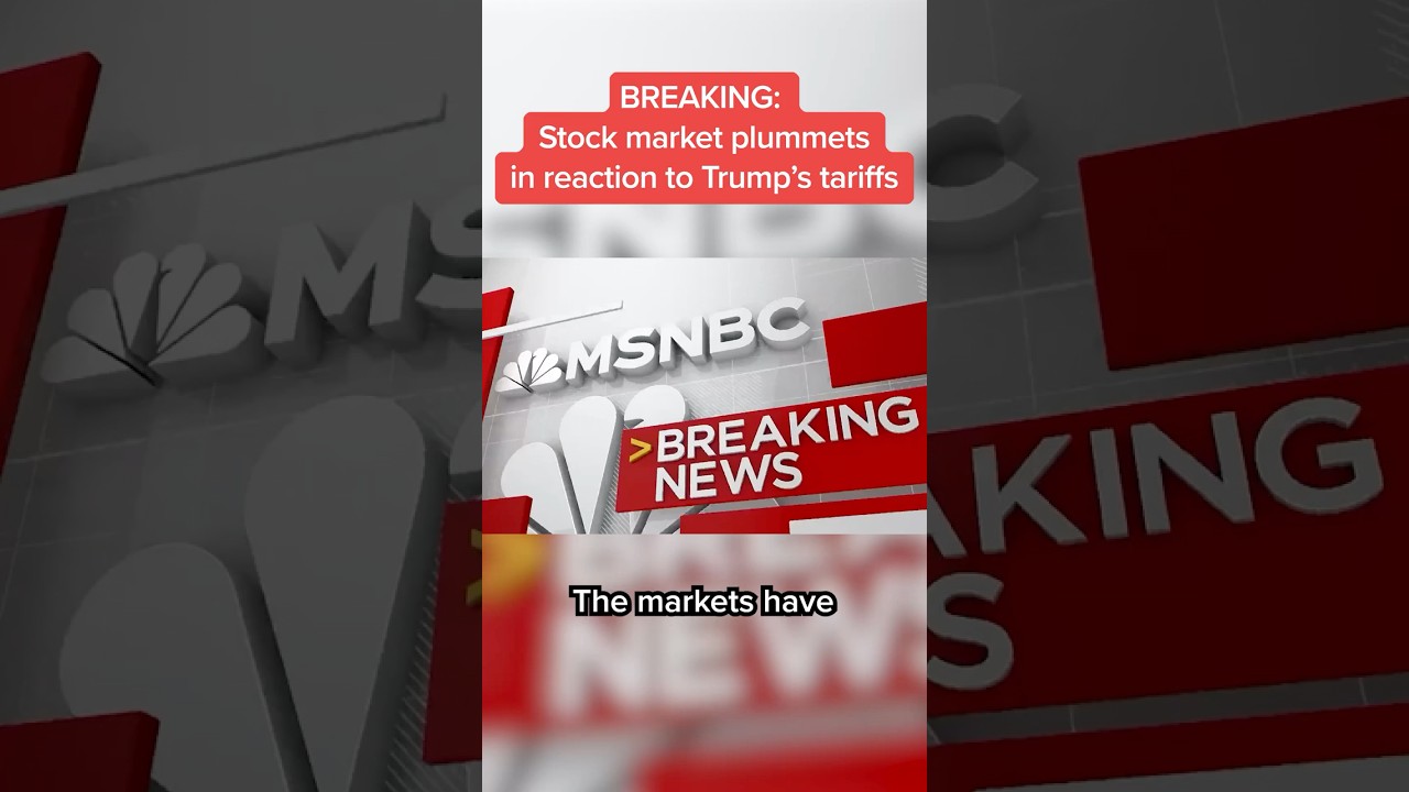 Stock market plummets in reaction to Trump's tariffs
