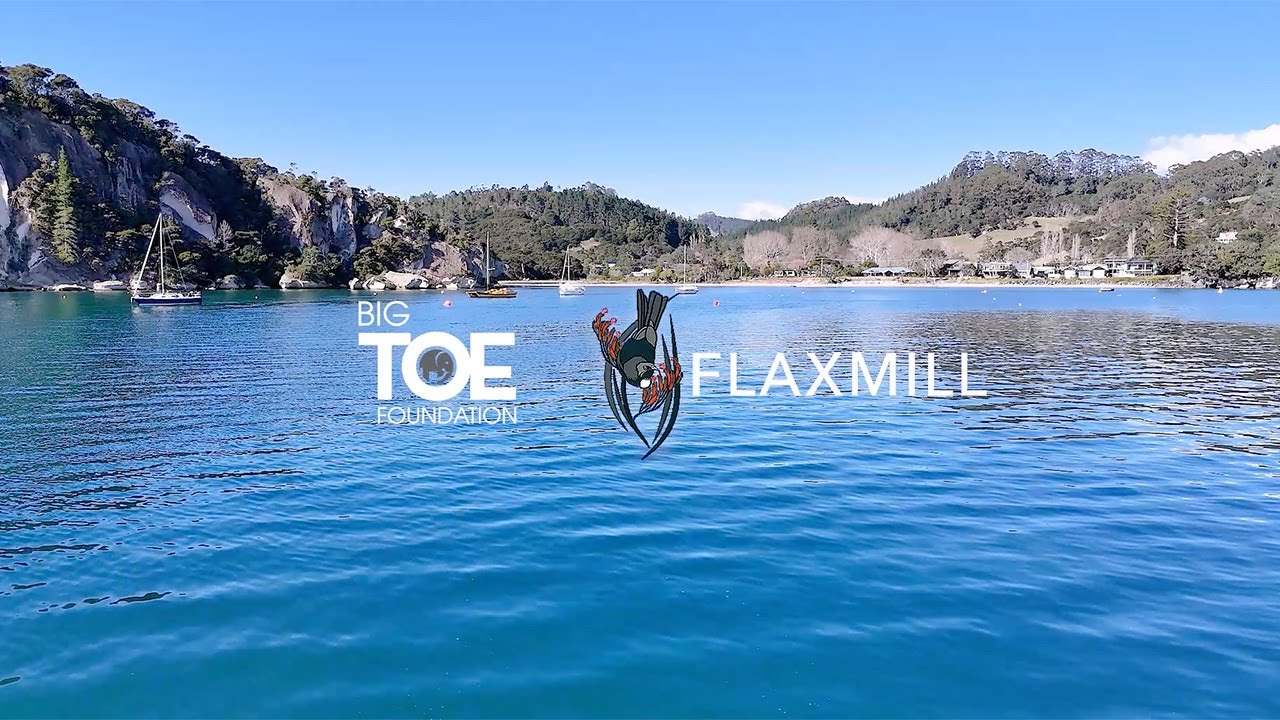 Big Toe Foundation & Flaxmill Accommodation 2025