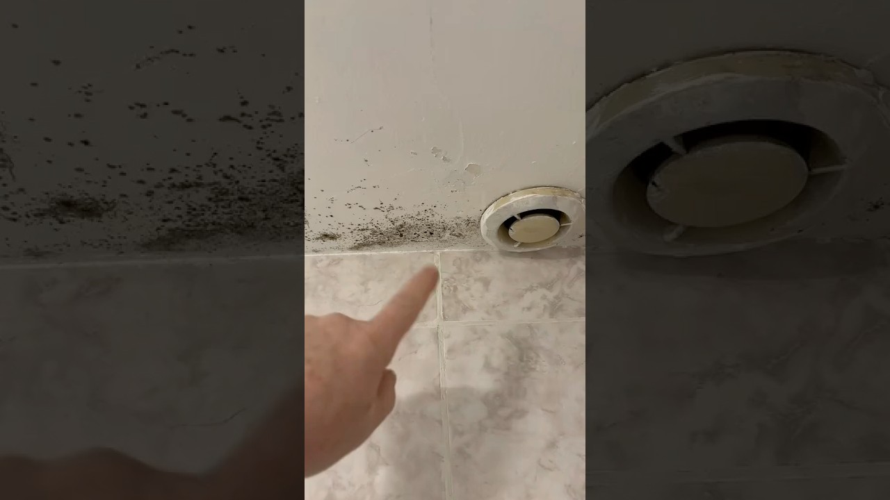 Astuce &Eacute;cologique : &Eacute;liminez les Moisissures sur Murs, Plafonds et Joints !