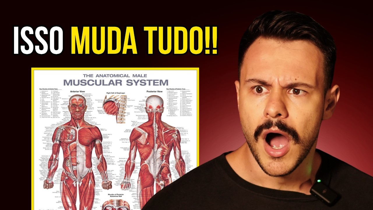 TREINO FULL BODY: O QUE OS INFLUENCERS NÃO CONTAM