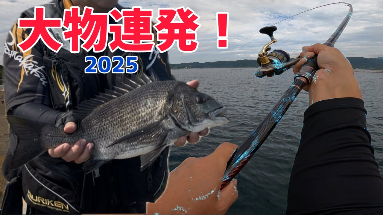 【チヌ釣り】大物連発‼️久々のチヌ釣りが最高に楽しかった！