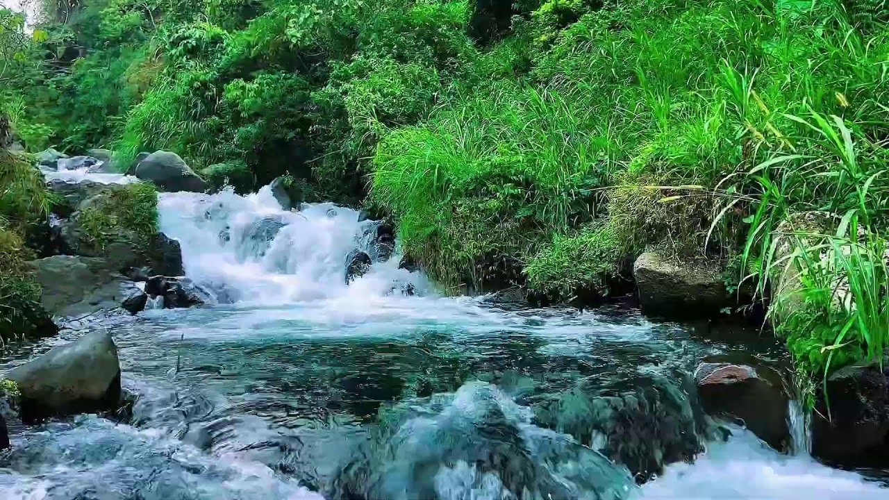Mountain Stream Night Water Flow, Forest River Sounds, Sleep