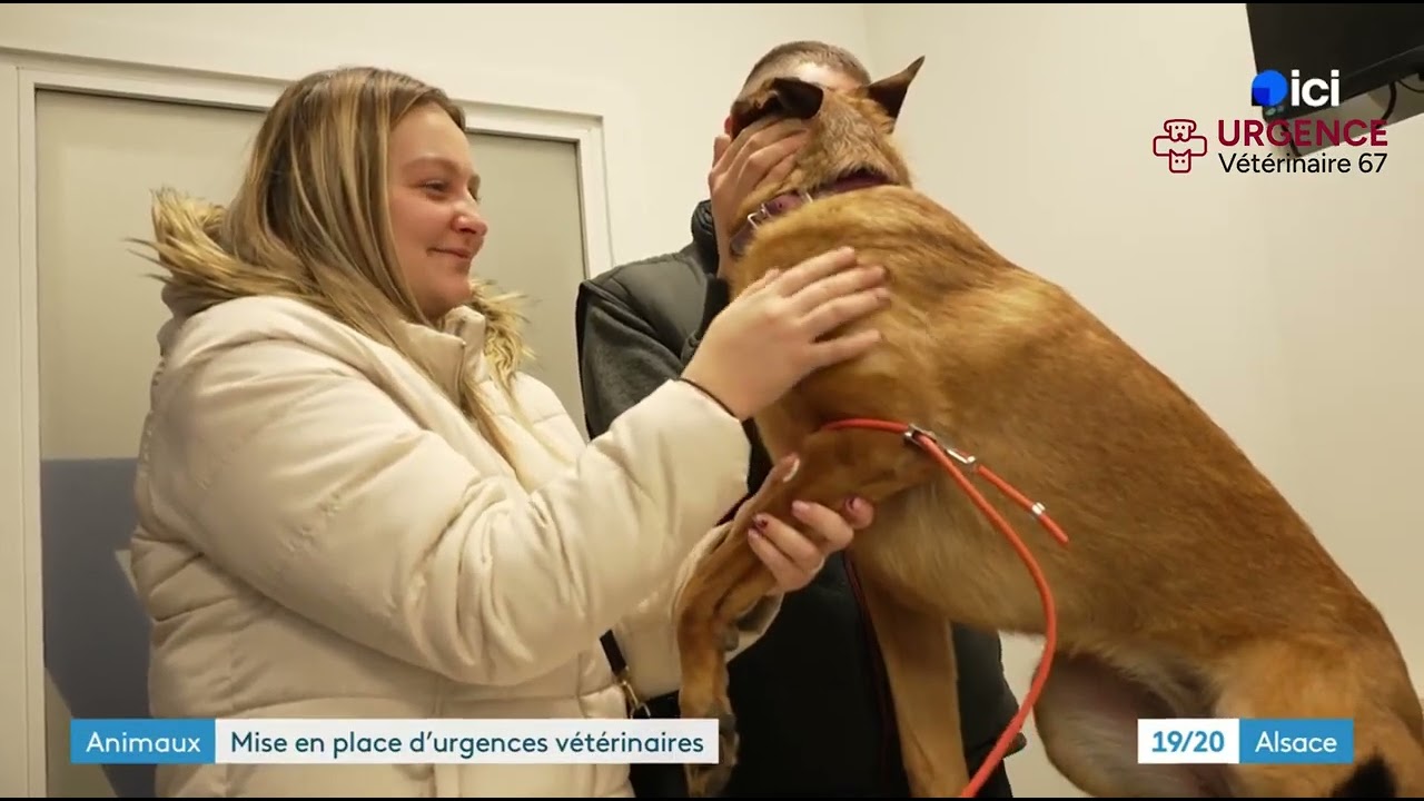 France 3 Alsace - Urgence vétérinaire 67