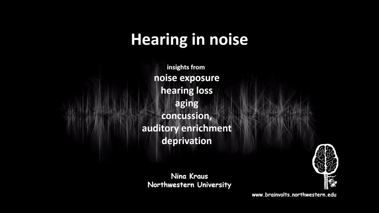 Hearing in Noise: Insights from Noise Exposure, Hearing Loss, Aging, Concussion, and more.