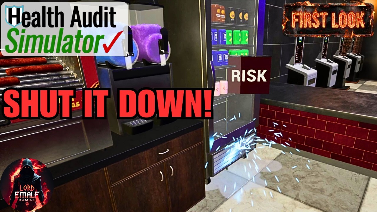 This Job Is Actually DANGEROUS | Health Audit Simulator