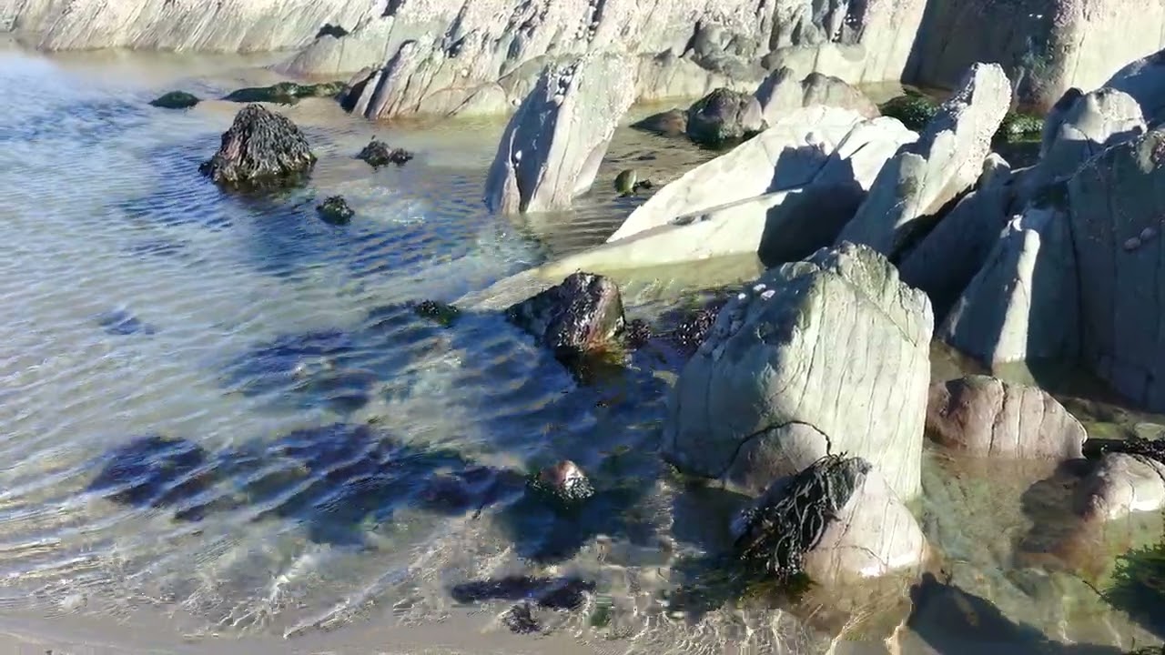Seaside Treasures: Exploring Rock Pools by the Shore 🌊🏊&zwj;♀️🐚