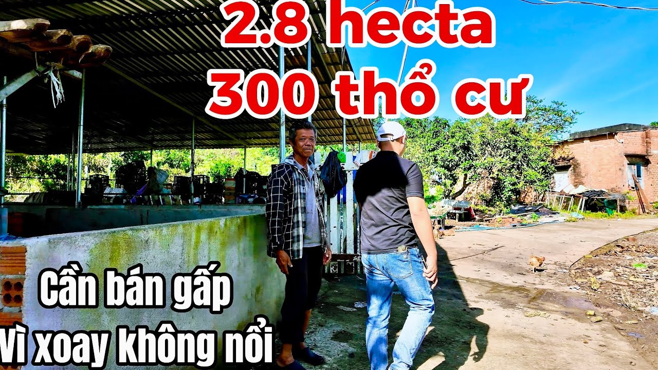 ANH BÌNH BÁN GẤP MẢNH ĐẤT VƯỜN CÓ THỔ CƯ VÀ NHÀ GIÁ CỰC RẺ TẠI BÀ RỊA VŨNG TÀU CŨ