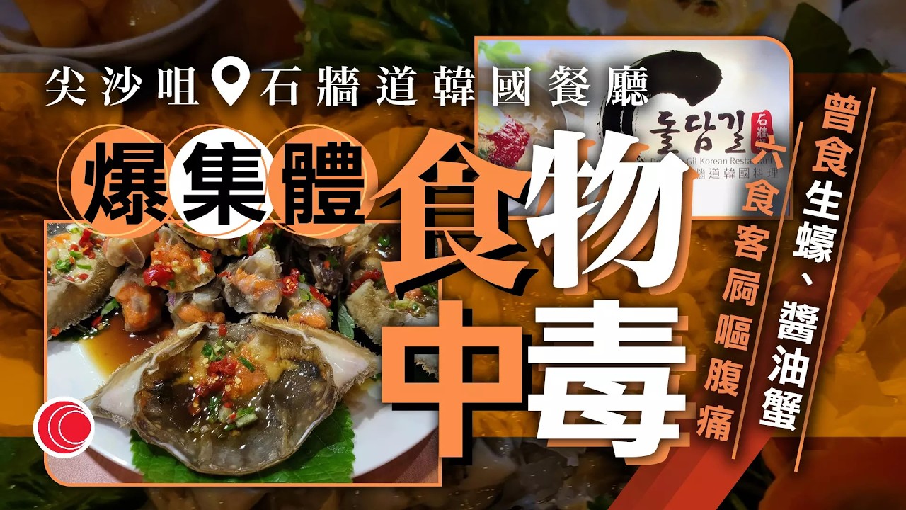 有線新聞 晚間新聞｜尖沙咀石牆道韓式餐廳爆食物中毒　6顧客曾食生蠔、醬油蟹｜狗隻友善餐廳｜有餐廳欲申請冀人寵共融　狗主稱會盡責：拖狗繩係一定要㗎｜HOY TV NEWS｜ 20260204