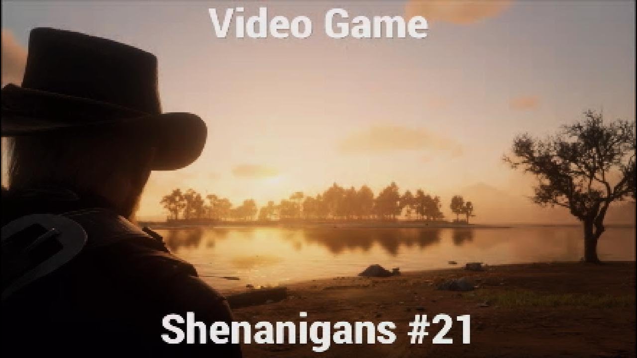 Video Game Shenanigans #21